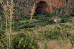 PXL_20250509_082714801