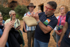 PXL_20250509_084357246