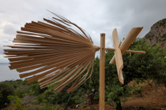 PXL_20250509_084545970