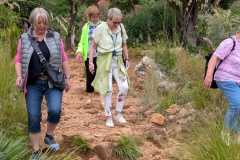 PXL_20250509_090623877