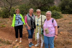 PXL_20250509_091359897