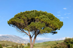 PXL_20250509_1627053293