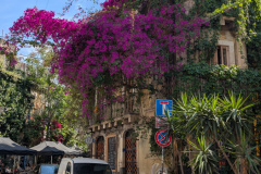 PXL_20250510_132510097.NIGHT_