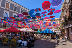 PXL_20250510_132840429