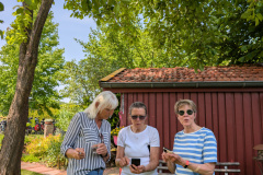 PXL_20250614_121846065