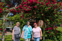 PXL_20250614_122932579