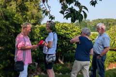 PXL_20250614_152931681