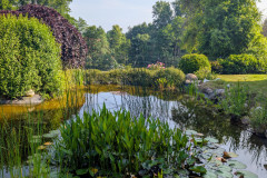 PXL_20250614_1535082372