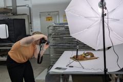 PXL_20251009_085100142