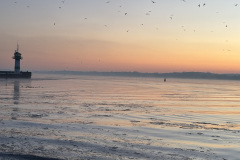 image00021
